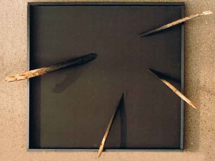 zen11