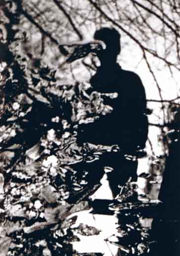 the-shadow