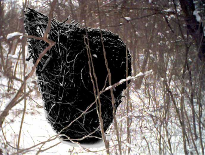human-nest