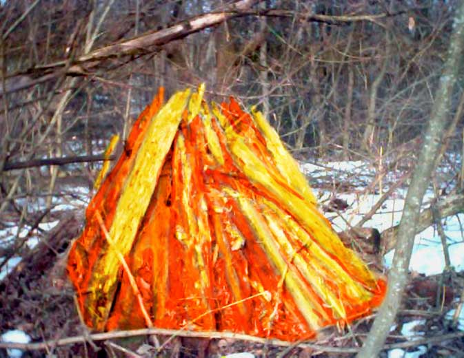 touch-the-fire