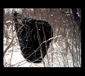go_to_w-art_human-nest